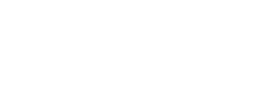 TOWN MOTORS